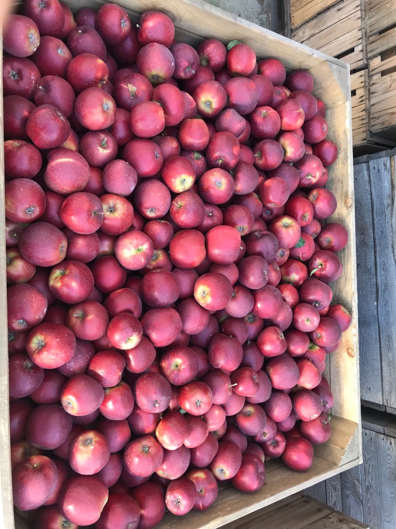RedJonaprince a la venta en la cantidad de camiones