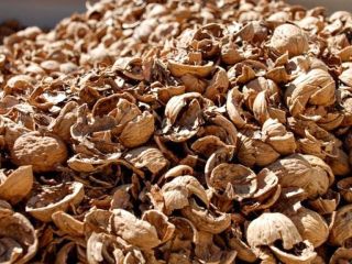 Compraré los desechos del tratamiento de las nueces Compraré