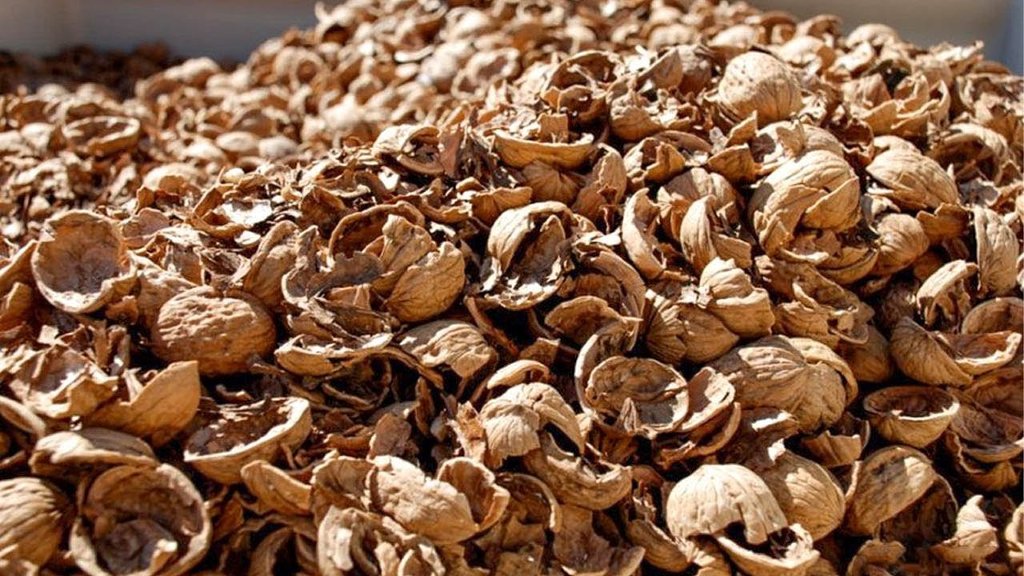 Compraré los desechos del tratamiento de las nueces Compraré los desechos del tratamiento de las nueces: el bizcocho tostado, el polvo, la podredumbre, la nuez