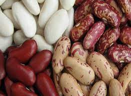 Frijoles de diferentes variedades