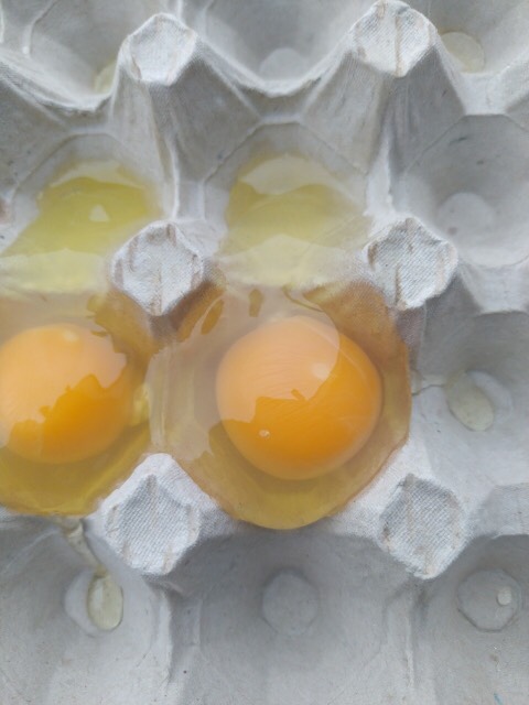 ¡Hola! Vendo huevos crema de corral 1A, 1B