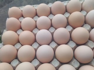 ¡Hola! Vendo huevos crema de corral 1A, 1B. Las