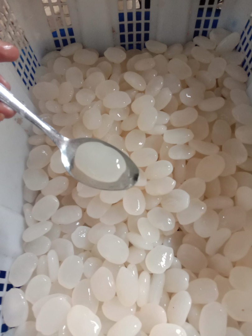 Soy un agricultor de frutas kolang kaling, estoy buscando un comprador de frutas kolang kaling que esté listo para aceptar mis productos agrícolas para la