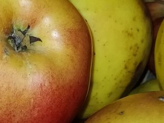 Manzanas Renet a la venta! Vendo manzanas de la