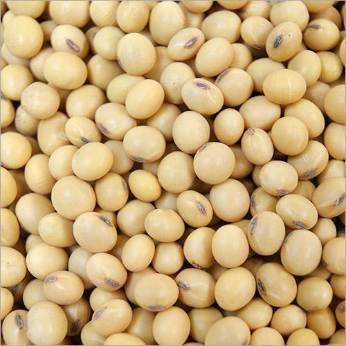 Soja GMO y No GMO Grado A Origen :Brasil Humedad