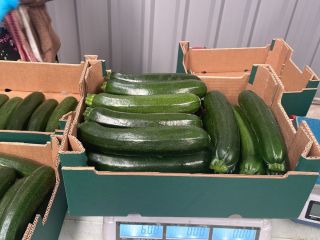 Calabacín ecológico Origen: España Calibración: 14/21 Palet: 720 kg