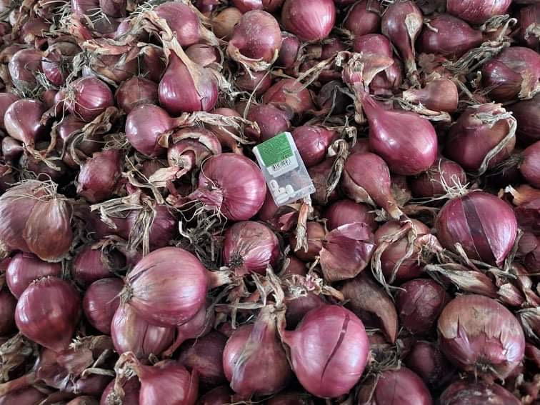 Variedad: Carmen Calibre: 4-8 cm