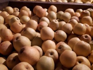 ¡A la venta, manzanas doradas con un precio neto