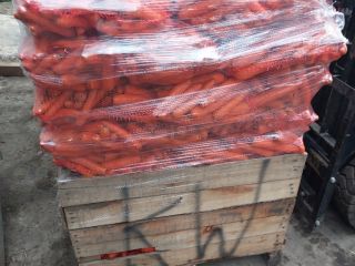 Venderé zanahorias comerciales Volcano, cantidades de paletas. Precio negociado.