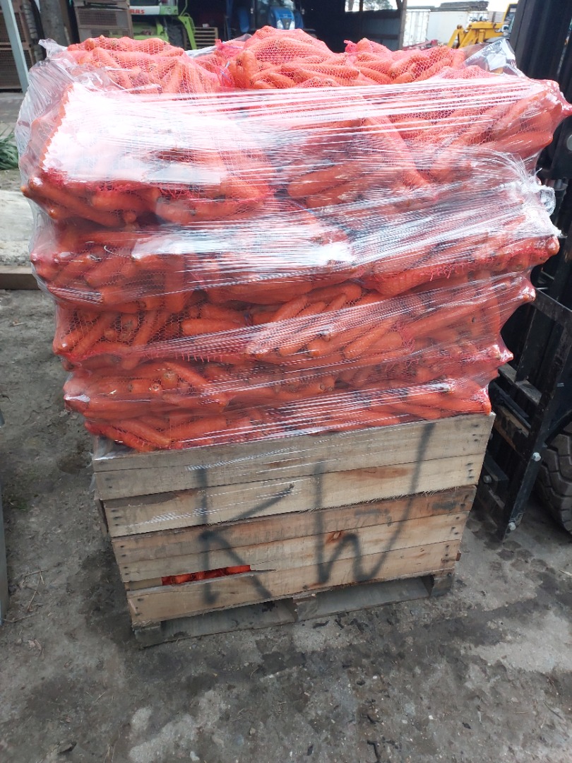 Venderé zanahorias comerciales Volcano, cantidades de paletas
