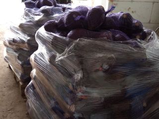 Venderé col lombarda de la cámara frigorífica, 1-3 kg.