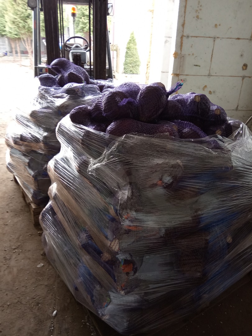 Venderé col lombarda de la cámara frigorífica, 1-3 kg