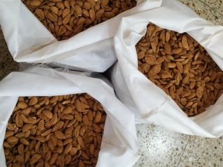 Somos un productor y proveedor de frutos secos y