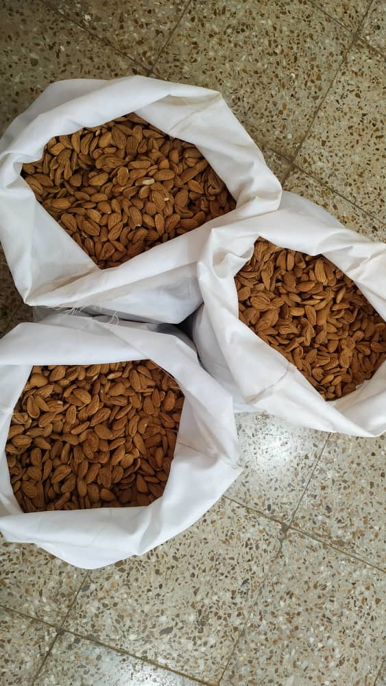 Somos un productor y proveedor de frutos secos y frutos secos, especialmente almendras (diferentes tipos) de la más alta calidad y valor nutritivo y de cultivo