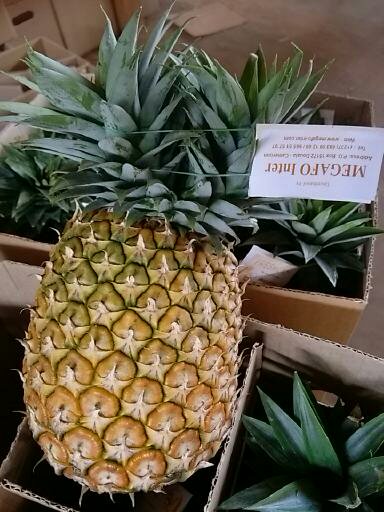 La mejor piña de Camerún