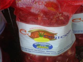 Trading Island For Import And Export, nuestra empresa es