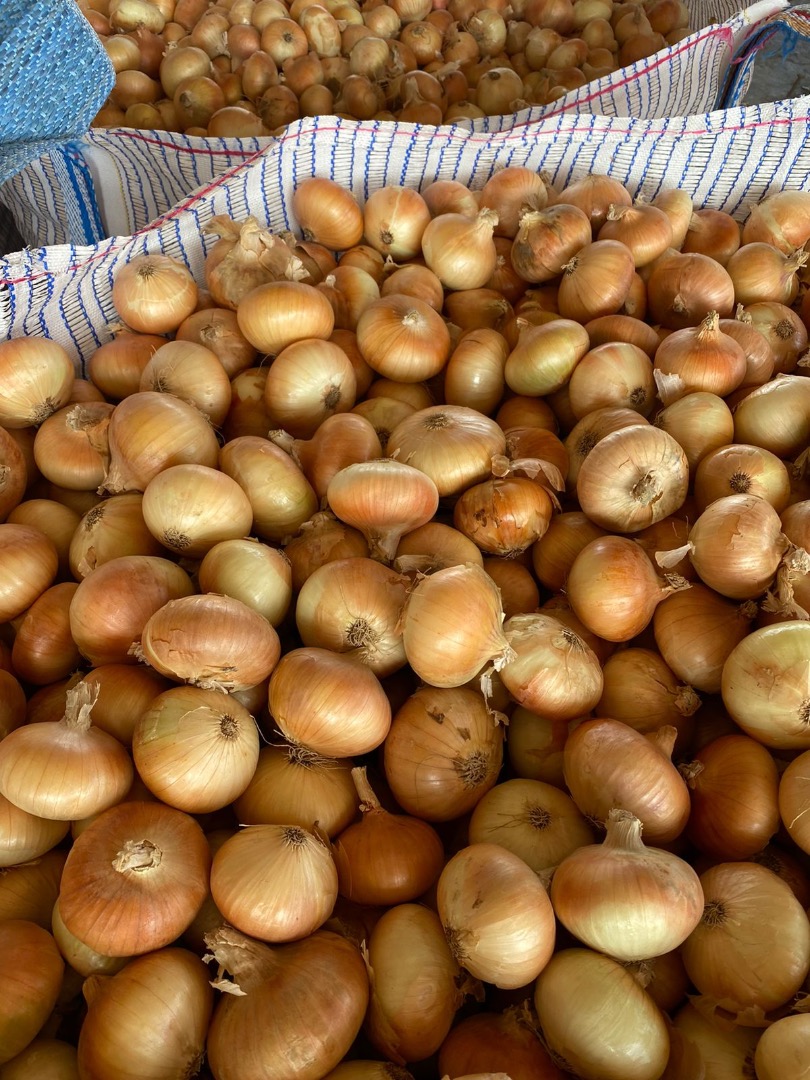 Trading Island For Import And Export, nuestra empresa es uno de los principales productores y exportadores de cebollas, ajo y batatas en Egipto