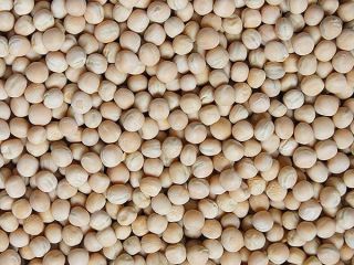Guisantes amarillos 1000MT.