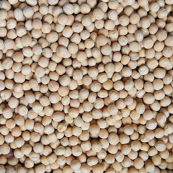 Guisantes amarillos 1000MT