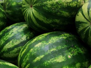 voy a comprar una sandia, calidad de mercado