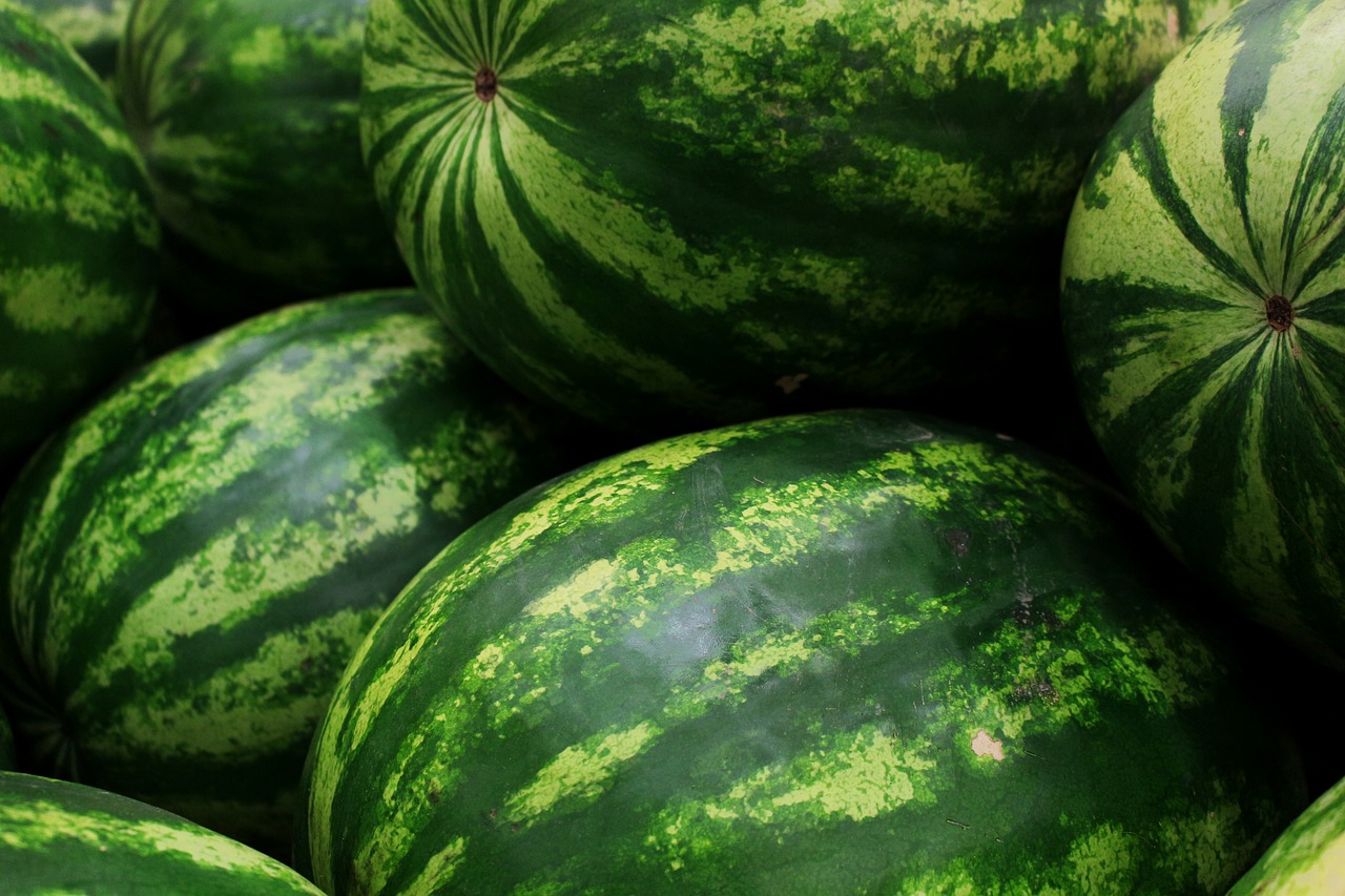 voy a comprar una sandia, calidad de mercado