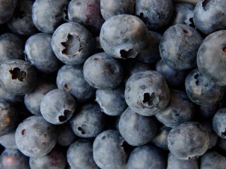 Estableceré cooperación con los productores de arándanos