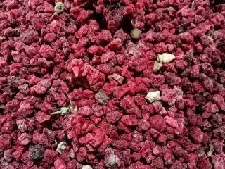 Prensado de frambuesa congelada, precio 4,2 EUR/kg, envase: bolsa