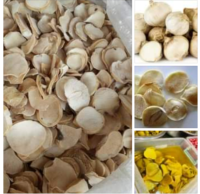 Exportación de ajo de montaña & grosella el color dorado Y todo tipo de encurtidos A cualquier país del mundo al mejor precio whtsapp