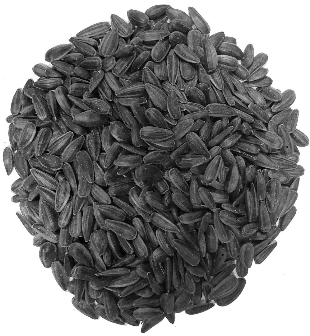 Olor Típico Inodoro, sin olores extraños Color Negro – típico Área de producción Empaque Bolsas de polipropileno blanco de 25kg Carga 40 pies: 26 Toneladas