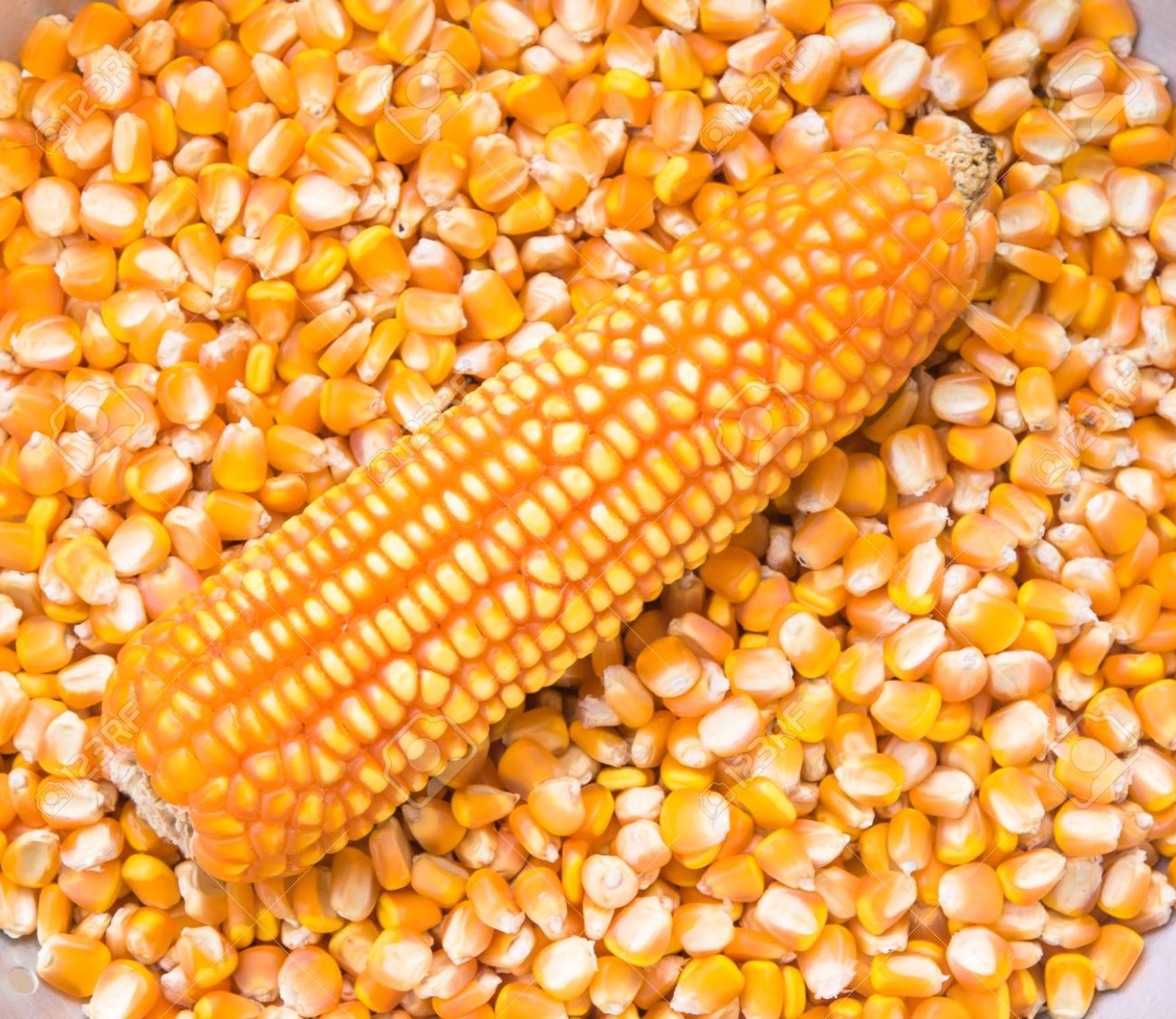 ANÁLISIS VALORES Humedad 14.00% max Daños por quemado 0.50% max Daños totales 3.50% max Proteinas 9.00% min Aditivo 2.50% max Aflatoxina total 20 PPB max