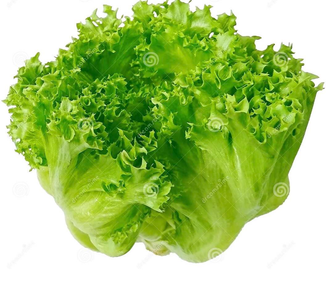 Smart Logistic es un productor georgiano de lechuga iceberg de alta calidad
