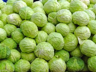 Ubicación: Turquía Min. Compra amt. : 2000 kg Tipo