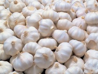 Ubicación: Turquía Min. Compra amt. : 2000 kg Tipo