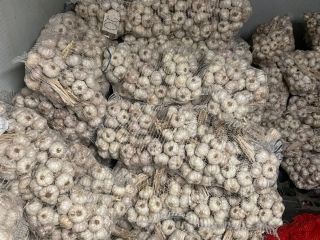 Vendo ajo polaco, sazonado. Muy bonito, saludable. Empaquetado en