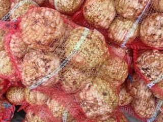 Buenos días. Tengo apio a la venta. Detalles: -
