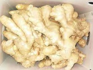 Tamaños: 100-150 g, 150-250 g, 250 g, 300 g