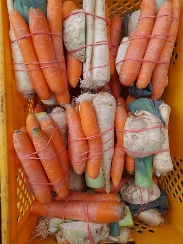 Verduras frescas 1 kg