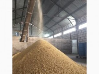Vendemos harina de soya a granel, empaque corrido, presa.