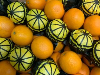 Vendo naranjas a granel, en palet o al por