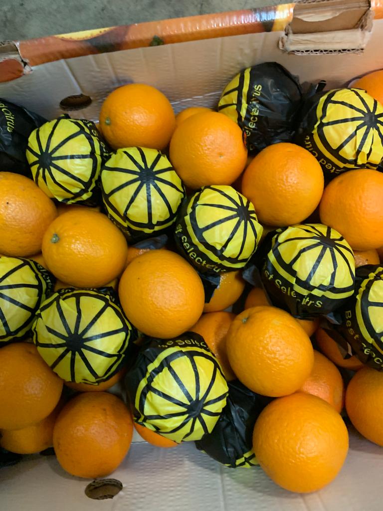 Vendo naranjas a granel, en palet o al por menor, en cajas de cartón