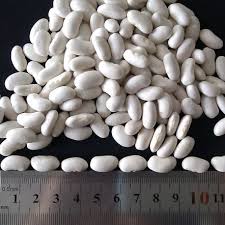 Alubias blancas (riñones) en venta