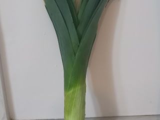 Venderé un puerro grueso directamente del campo. contacto
