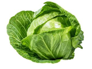 Col fresca de primavera, preparada a pedido del cliente