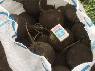 Heridos: -Koperek -Pietruszka -buraczany -Cebula -Kalafior -Daikon - marchewki