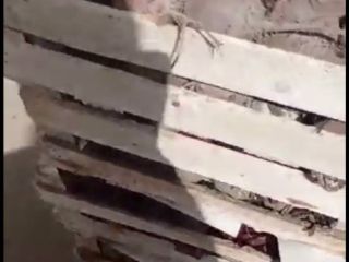 Venta al por mayor de remolachas en grandes cantidades