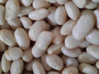 Frijoles a la venta !!!