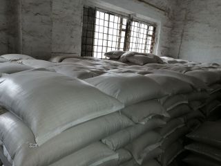 Ofrecemos comprar mijo amarillo de un almacén. Embalaje en