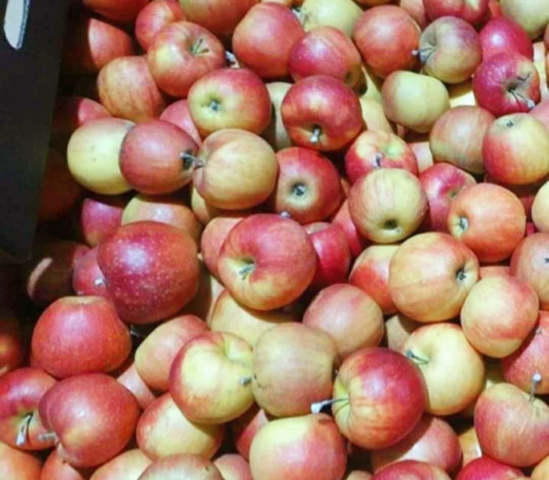 Hola, vendo varias manzanas moldavas surtidas, preferiblemente por tonelada/s