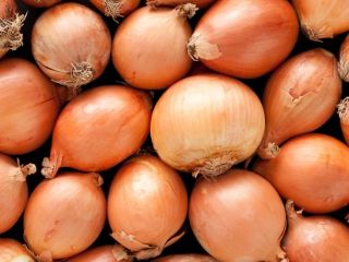 Cebolla amarilla Nombre del producto Cebolla roja, Cebolla amarilla