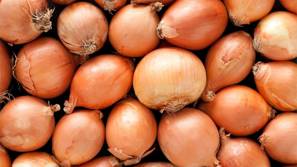 Cebolla amarilla Nombre del producto Cebolla roja, Cebolla amarilla País de origen: Uzbekistán Tamaño Cebolla roja / amarilla: 3-5 cm, 5-7 cm, 6-8 cm, 8 cm